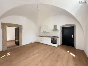 Pronájem bytu 2+kk, Osek, Tovární, 35 m2