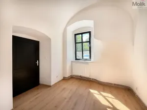 Pronájem bytu 2+kk, Osek, Tovární, 35 m2