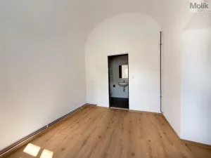 Pronájem bytu 2+kk, Osek, Tovární, 35 m2