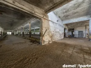 Prodej zemědělského objektu, Korouhev, 1400 m2