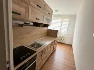 Prodej bytu 2+1, Duchcov, Osecká, 63 m2