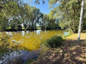 Prodej rodinného domu, Žalhostice, 150 m2