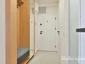 Pronájem bytu 3+1, Brno, Polní, 77 m2