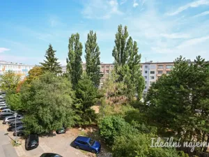 Pronájem bytu 3+1, Brno, Polní, 77 m2
