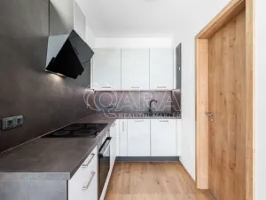 Pronájem bytu 1+kk, Praha - Strašnice, Štěchovická, 42 m2