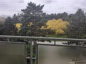 Prodej bytu 3+1, Praha, Hvozdíková, 75 m2