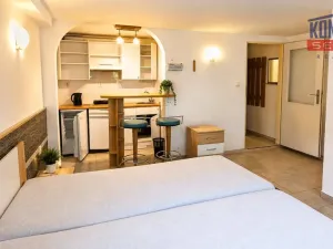 Pronájem bytu 1+kk, České Budějovice - České Budějovice 3, Pekárenská, 30 m2