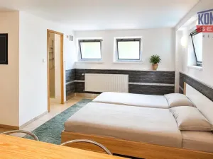 Pronájem bytu 1+kk, České Budějovice - České Budějovice 3, Pekárenská, 30 m2