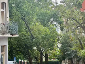 Pronájem bytu 2+kk, Praha - Vinohrady, Varšavská, 56 m2