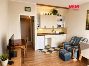 Pronájem bytu 1+kk, Ústí nad Labem - Ústí nad Labem-centrum, Hilarova, 21 m2