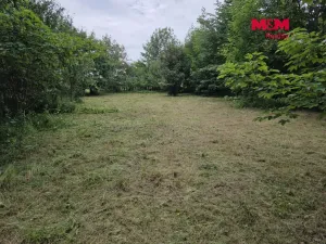 Prodej pozemku pro bydlení, Bor - Boječnice, 1093 m2