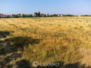 Prodej zahrady, Dyjákovice, 3930 m2