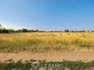 Prodej zahrady, Dyjákovice, 3930 m2