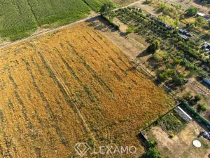 Prodej zahrady, Dyjákovice, 3930 m2