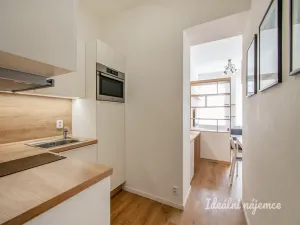 Prodej bytu 2+kk, Praha - Žižkov, Prokopova, 41 m2