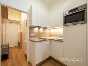 Prodej bytu 2+kk, Praha - Žižkov, Prokopova, 41 m2