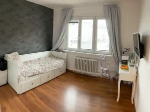 Pronájem bytu 1+kk, Brno, Mendlovo náměstí, 19 m2