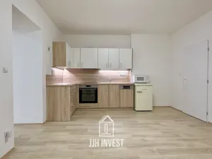 Pronájem obchodního prostoru, Plzeň - Východní Předměstí, Pařížská, 150 m2