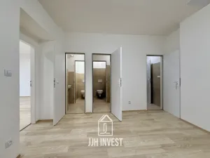 Pronájem obchodního prostoru, Plzeň - Východní Předměstí, Pařížská, 150 m2