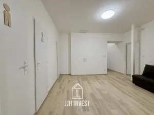 Pronájem obchodního prostoru, Plzeň - Východní Předměstí, Pařížská, 150 m2