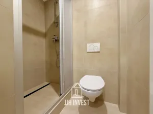 Pronájem obchodního prostoru, Plzeň - Východní Předměstí, Pařížská, 150 m2