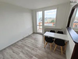 Pronájem bytu 1+1, Most, Růžová, 40 m2