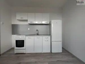 Pronájem bytu 1+1, Most, Růžová, 40 m2