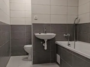 Pronájem bytu 1+1, Most, Růžová, 40 m2