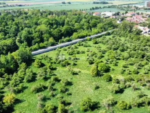 Prodej sadu/vinice, Hořín - Brozánky, 48506 m2