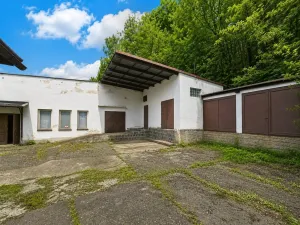 Prodej vícegeneračního domu, Skalice u České Lípy, 600 m2