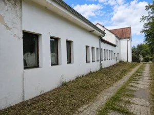 Prodej vícegeneračního domu, Skalice u České Lípy, 600 m2