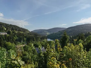 Prodej bytu 2+kk, Špindlerův Mlýn - Bedřichov, 41 m2