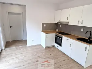 Pronájem rodinného domu, Valašské Meziříčí, 28. října, 37 m2