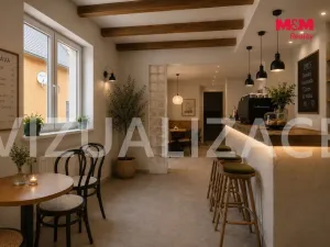 Prodej ubytování, Zruč nad Sázavou, 1. máje, 250 m2