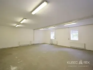 Pronájem skladu, Řípec, 247 m2