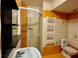 Pronájem bytu 1+1, Hostinné, Nákladní, 48 m2