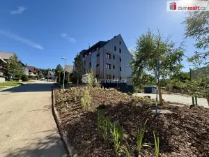 Pronájem bytu 1+kk, Harrachov - Nový Svět, 37 m2