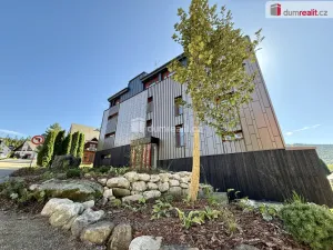 Pronájem bytu 1+kk, Harrachov - Nový Svět, 37 m2
