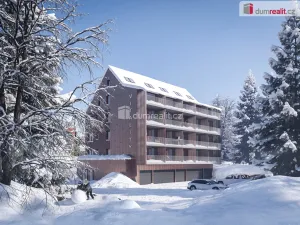 Pronájem bytu 1+kk, Harrachov - Nový Svět, 37 m2