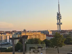 Pronájem bytu 2+1, Praha - Vinohrady, Velehradská, 42 m2