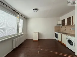Pronájem bytu 1+1, Litvínov - Horní Litvínov, Mostecká, 35 m2