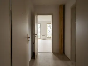 Prodej bytu 1+kk, Lenora, 29 m2