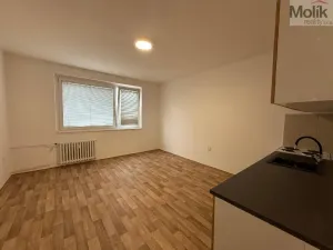 Pronájem bytu 2+kk, Ústí nad Labem - Severní Terasa, Šrámkova, 40 m2
