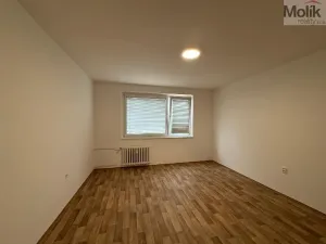 Pronájem bytu 2+kk, Ústí nad Labem - Severní Terasa, Šrámkova, 40 m2