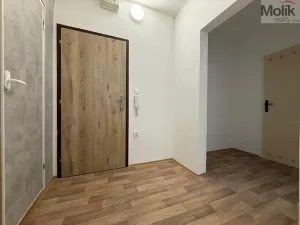 Pronájem bytu 2+kk, Ústí nad Labem - Severní Terasa, Šrámkova, 40 m2