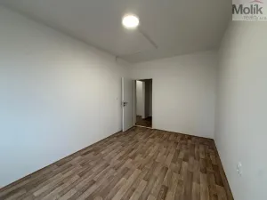 Pronájem bytu 2+kk, Ústí nad Labem - Severní Terasa, Šrámkova, 40 m2