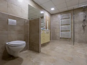 Pronájem bytu 4+kk, Most, J. Š. Baara, 132 m2