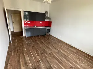 Pronájem bytu 2+kk, Praha - Žižkov, Hartigova, 54 m2