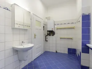 Pronájem bytu 3+1, Teplice, Čelakovského, 101 m2