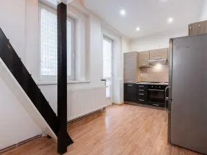 Pronájem bytu 1+1, Krupka - Bohosudov, Bohosudovská, 45 m2